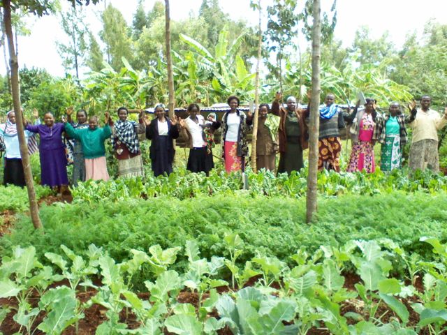 Practical training is the backbone of the week - learning agriculture and business.